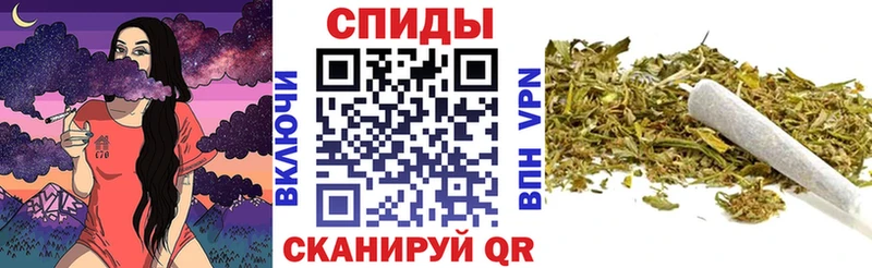 БУТИРАТ оксана  kraken как войти  Эртиль 