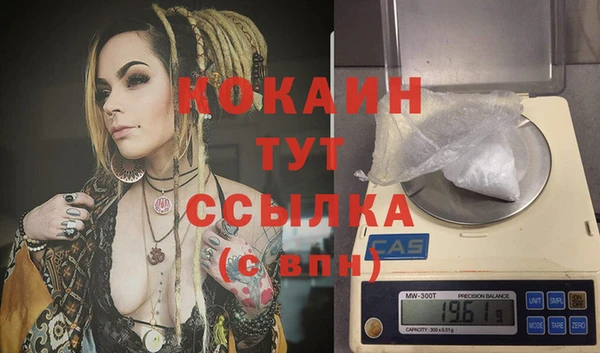 дживик Магас