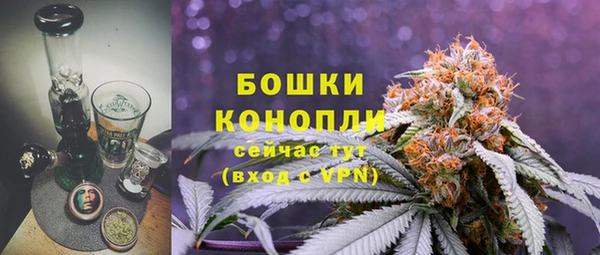 сатива Лихославль